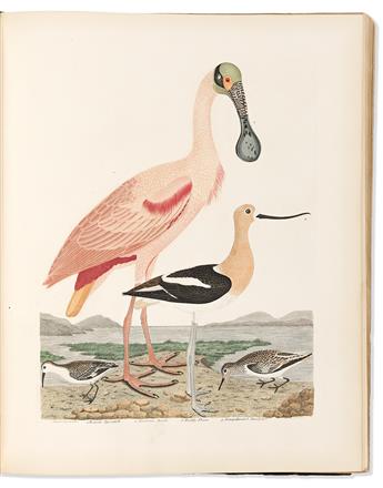 (NATURAL HISTORY.) Alexander Wilson; and Charles Lucien Bonaparte. American Ornithology;